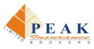 Peak Insurance Logo Peak Insurance Logo