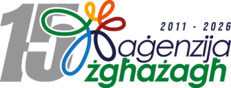 15 Anniversarju Logo